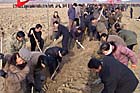 朝鲜居民节日里忙于学习“共同社论”