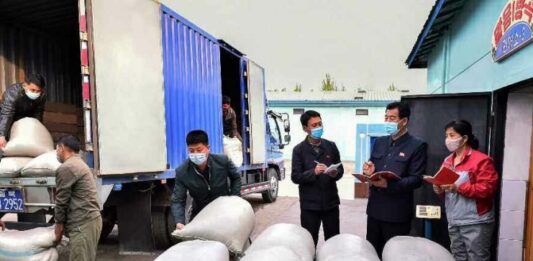 一些粮谷销售所实际上由钱主经营,“跟个人的大米生意不无两样”