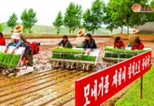 只因青年同盟成员说了“农忙季节的时候生活总结那么重要吗?”……
