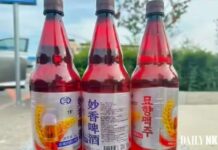 中朝合资“妙香啤酒”进军中国市场,与别的啤酒不同使用塑料瓶