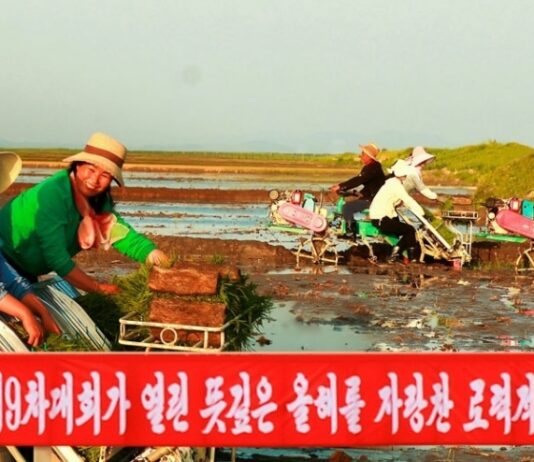 中国投资者要“农场经营权”,朝鲜愤慨道“没有协商的必要”