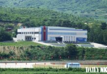 从出口原料转型出口高附加值加工品,改善创汇性质