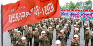 投入到地方发展建设工程的士兵出现营养失调问题