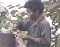 DNKF00006556_List