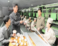 DNKF00012455_List