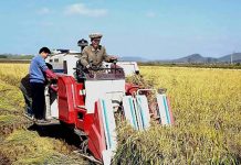 Farming official awaiting trial for stealing North Korean military grain