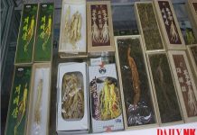 North Korea mobilizes medical students for herb collection drives Medicinal plants on offer at a health food store in Pyongyang