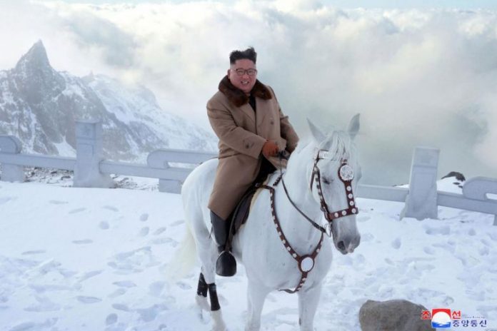kim jong un horse