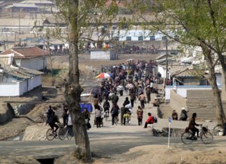 N. Korea rice prices hit record high as exchange rate climbs grasshopper market exchange rate grain