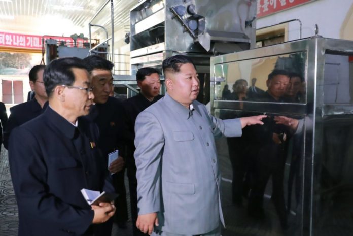 factory kim jong un business
