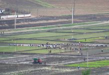 Vinyl film theft at Kaesong farm leads to investigation
