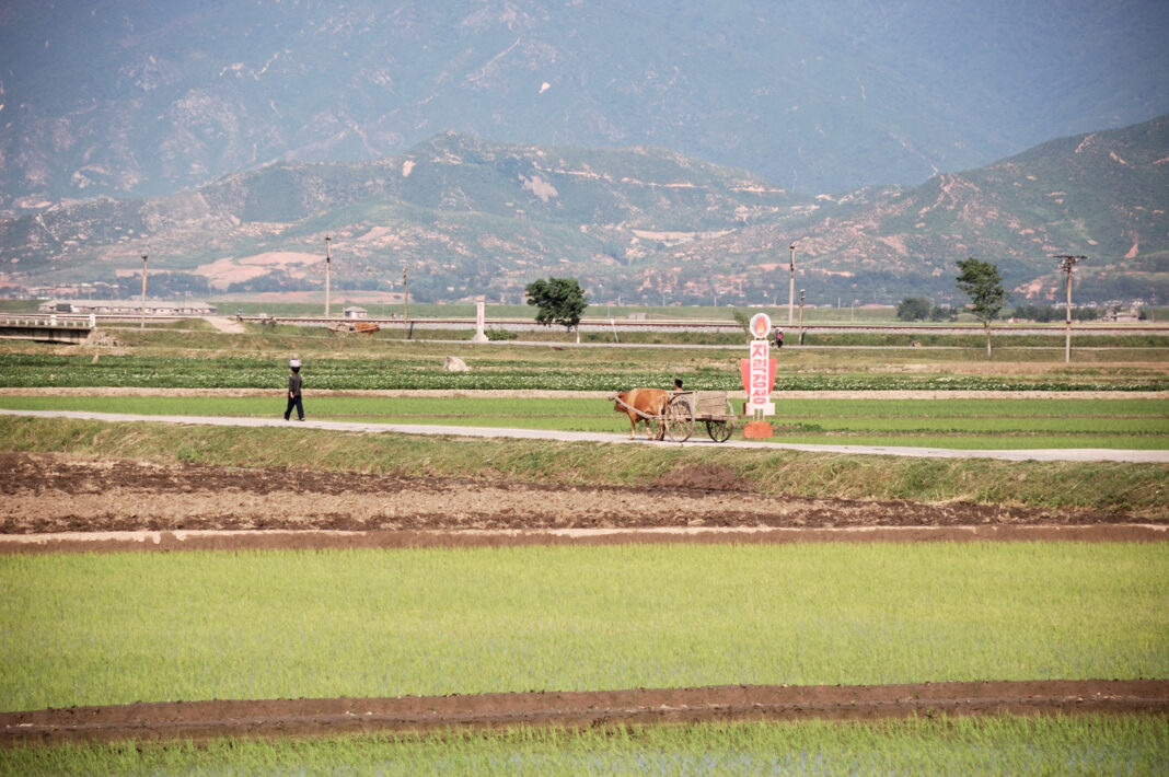 A farm in North Korea's Anbyon county.
