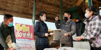 Prices of rice sold in N. Korea’s state-run food shops similar to market prices