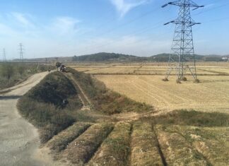 North Korea prioritizes power for munitions factories amid heat wave