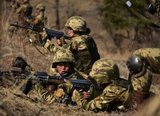 North Korean soldiers cut winter firewood for their units and their officers’ homes troops, russia, ukraine, war, troop