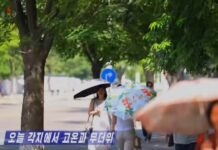 North Korea issues heat wave rules as deaths surpass 100 North Koreans walk along a tree-lined street shielding themselves from the heat with parasols in a screen grab from a Korean Central Television broadcast on July 10, 2025.