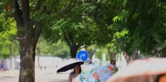 North Koreans walk along a tree-lined street shielding themselves from the heat with parasols in a screen grab from a Korean Central Television broadcast on July 10, 2025.