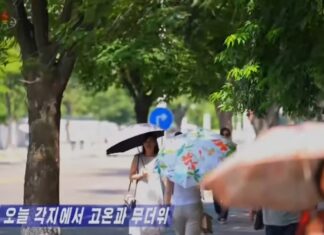 North Korea issues heat wave rules as deaths surpass 100 North Koreans walk along a tree-lined street shielding themselves from the heat with parasols in a screen grab from a Korean Central Television broadcast on July 10, 2025.