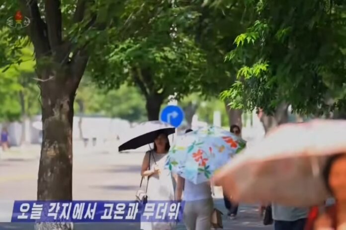 North Koreans walk along a tree-lined street shielding themselves from the heat with parasols in a screen grab from a Korean Central Television broadcast on July 10, 2025.