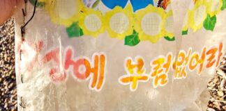 A mended plastic bag from North Korea tells the story the regime won’t Close-up of a torn and hand-stitched North Korean plastic bag bearing the propaganda slogan "We have nothing to envy in the world," found on the shore of Yeonpyeong Island