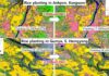 Satellites show North Korea’s rice planting running ahead of schedule