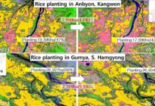 Satellites show North Korea’s rice planting running ahead of schedule