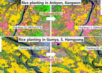 Satellites show North Korea’s rice planting running ahead of schedule