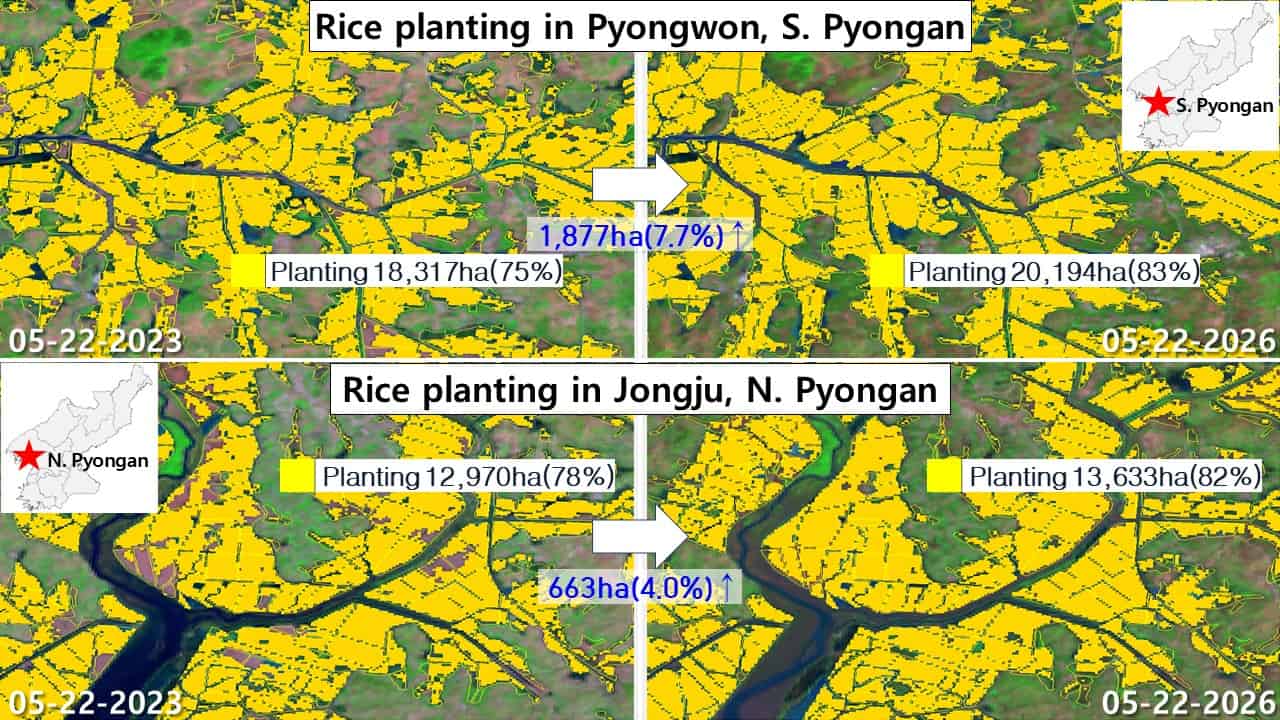 Satellite imagery of rice transplanting in Pyongwon county and Jongju in North Korea's Pyongan provinces