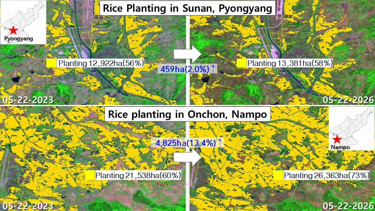 Landsat satellite imagery comparing rice transplanting progress in Pyongyang's Sunan district and Nampo's Onchon county