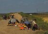 North Koreans credit rice price stability, but quality and affordability remain concerns North Korean vendors sell fruit from the roadside between Nampo and Kaesong, 2015