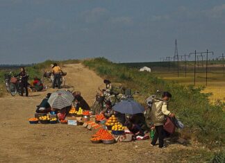 Poor road conditions leave North Korean drivers paying for constant tire repairs North Korean vendors sell fruit from the roadside between Nampo and Kaesong, 2015