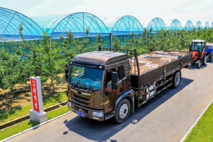 yonpho-greenhouse-farm-truck-produce-2026 Truck hauling produce past greenhouse tunnels at Yonpho Greenhouse Farm, July 2026