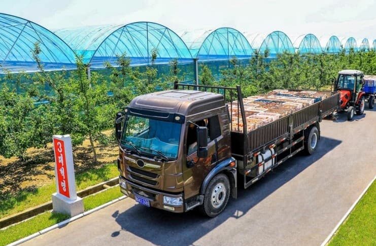 Truck hauling produce past greenhouse tunnels at Yonpho Greenhouse Farm, July 2026
