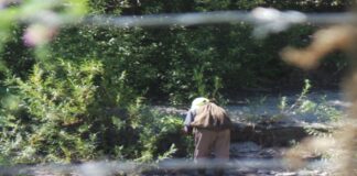 A person seen from behind through a wire fence, wearing a light-colored headscarf and carrying a dark sack on their back, bends over green shrubs to pick something on a rocky, sunlit slope.