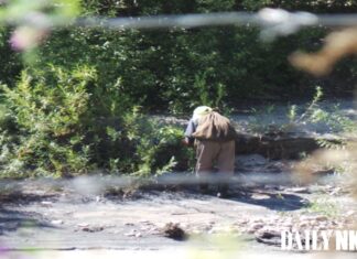 A person seen from behind through a wire fence, wearing a light-colored headscarf and carrying a dark sack on their back, bends over green shrubs to pick something on a rocky, sunlit slope.