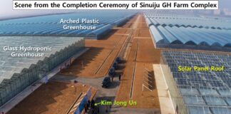 Satellite imagery shows Sinuiju greenhouse farm far larger than North Korea claims Rows of glass hydroponic and arched vinyl greenhouses along a central road at the Sinuiju greenhouse farm completion ceremony