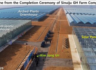 Satellite imagery shows Sinuiju greenhouse farm far larger than North Korea claims Rows of glass hydroponic and arched vinyl greenhouses along a central road at the Sinuiju greenhouse farm completion ceremony