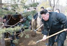 김정은, 제재해제 원한다면 핵 폐기 계획을 제시하라 김정은 식수절 나무