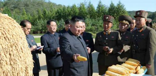김정은 현지지도