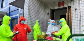 북한 격리자 채소 지원