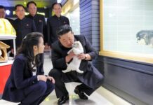 확산하는 애완동물 문화…“진짜 ‘개옷상점’ 생기겠다” 주민들 냉소