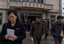 절도·사기 신고 급증하는데 구제는 미흡…“법보다 주먹이 가까워”