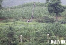 폭염 피해 움직였더니 강도 위험…이중삼중의 고통 시달려